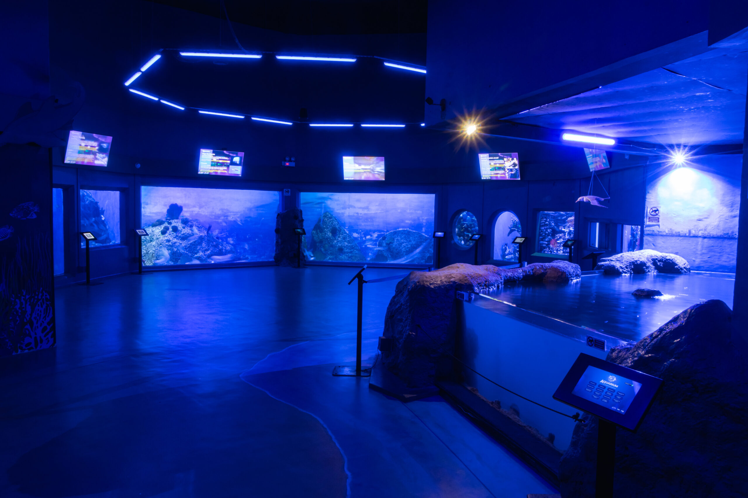 Experiencia en el Aquarium del Puerto de Veracruz
